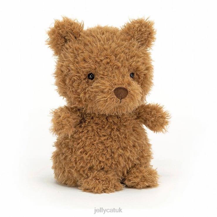 Jellycat Book V248Z726 I Might Be Little Book and Little Bear Brown