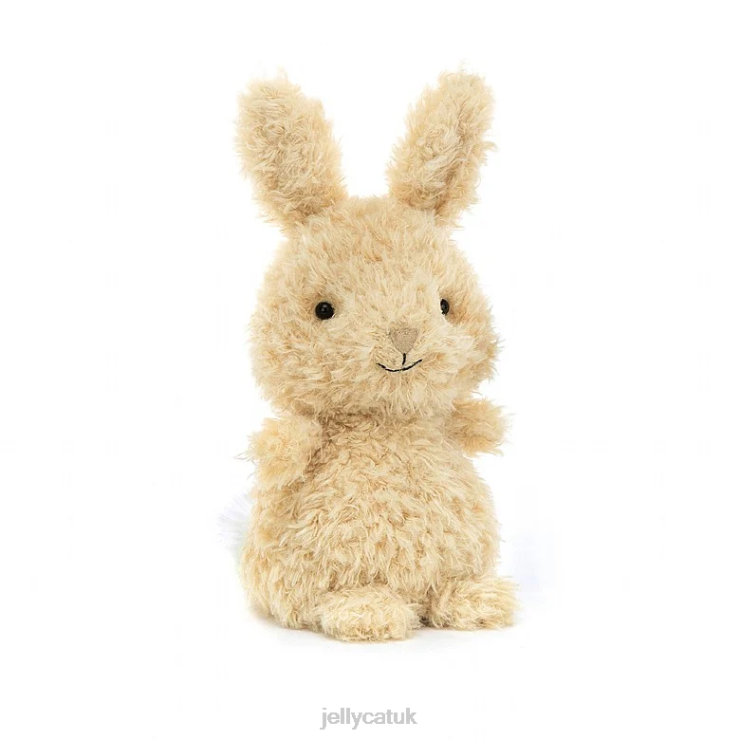 Jellycat Book V248Z737 Who Can I Find Book and Little Bunny Honey