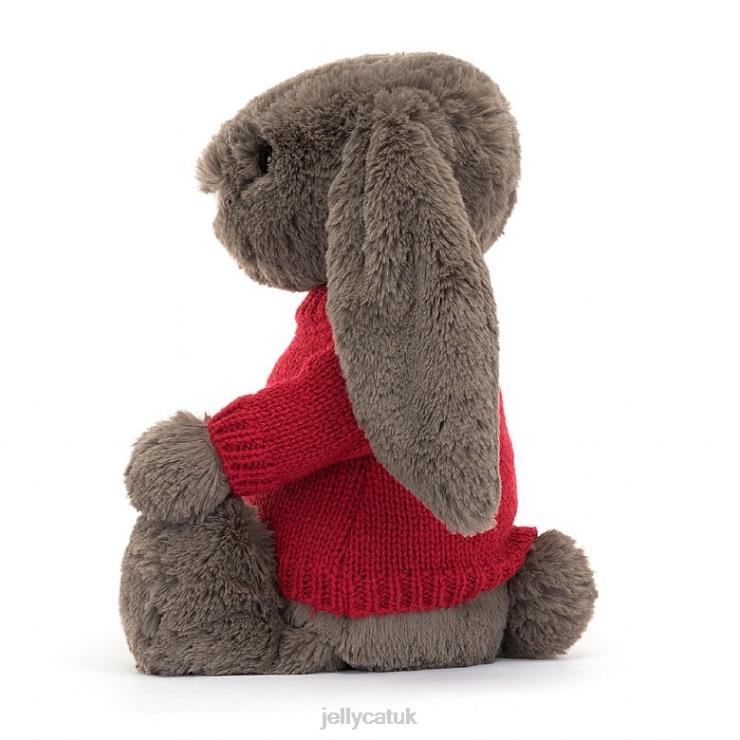 Jellycat Toy V248Z270 Bashful Truffle Bunny with Personalised Red Jumper Brown