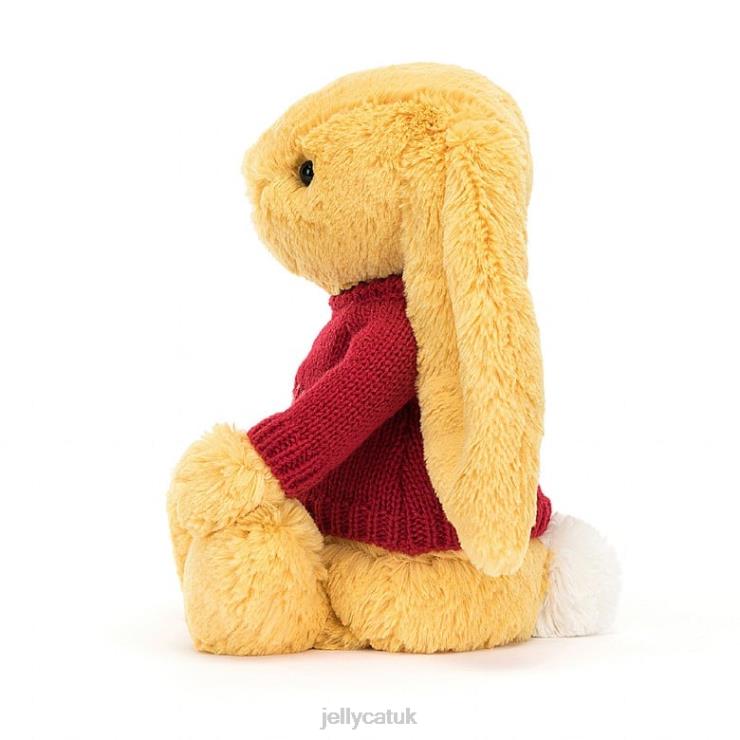 Jellycat Toy V248Z332 Bashful Bunny with Personalised Red Jumper Sunshine