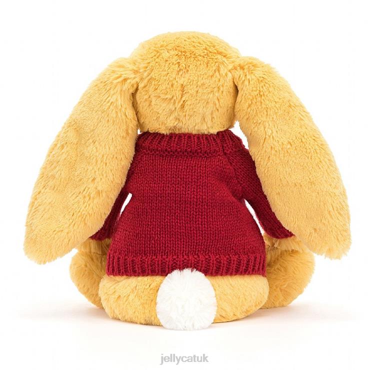 Jellycat Toy V248Z332 Bashful Bunny with Personalised Red Jumper Sunshine