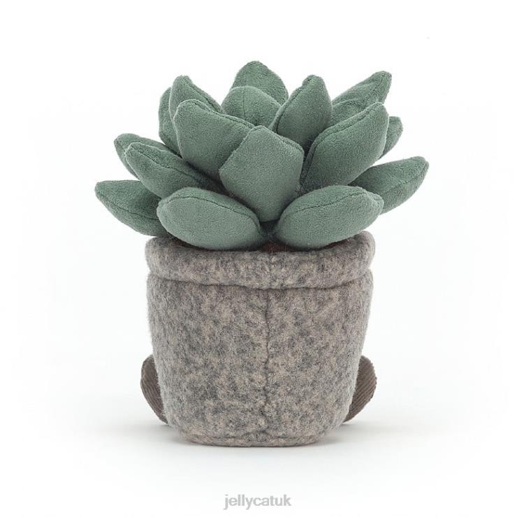 Jellycat Toy V248Z595 Silly Succulent Azulita Multi-colour