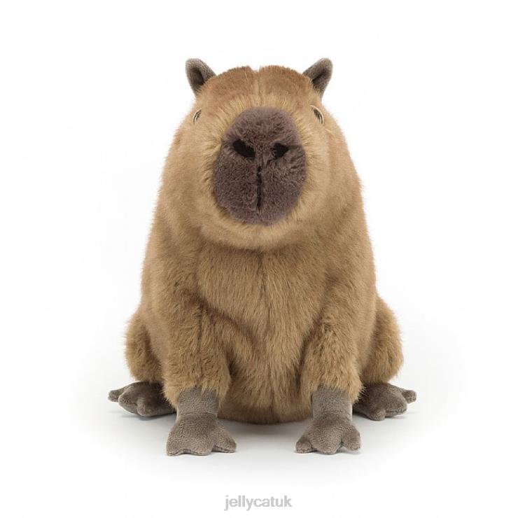 Jellycat Toy V248Z678 Clyde Capybara Brown