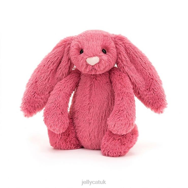 Jellycat Toy V248Z496 Bashful Cerise Bunny Rose